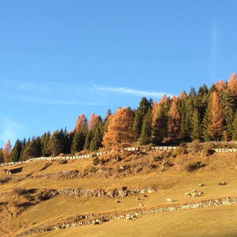 Agriturismo Maso Larciunei Сельва-ди-Валь-Гардена Экстерьер фото