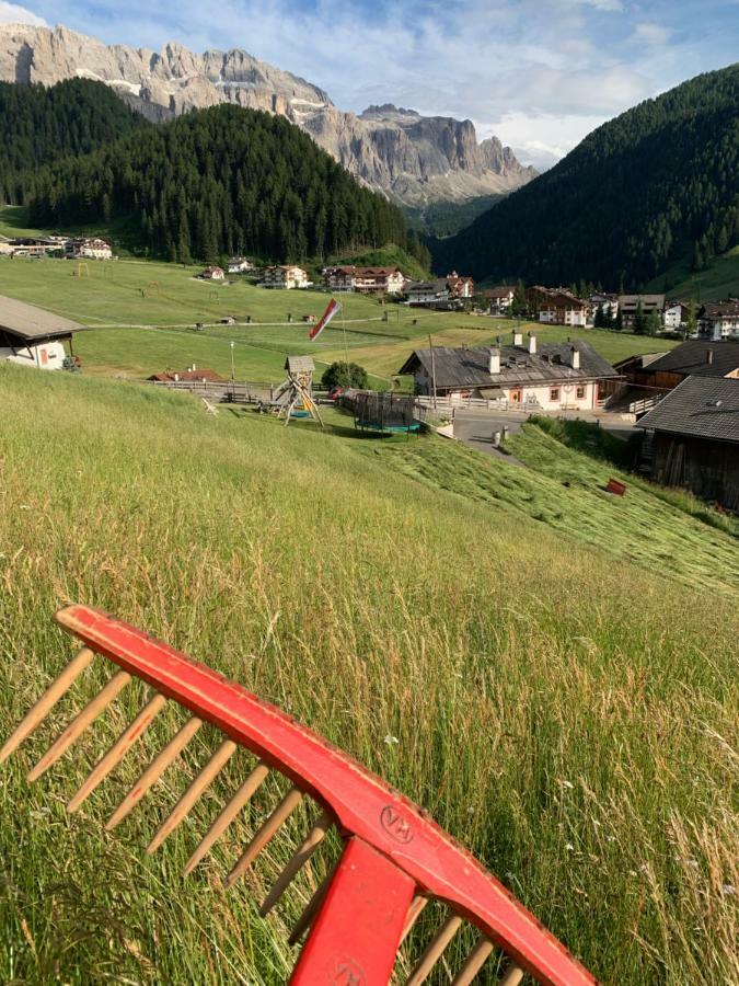 Agriturismo Maso Larciunei Сельва-ди-Валь-Гардена Экстерьер фото